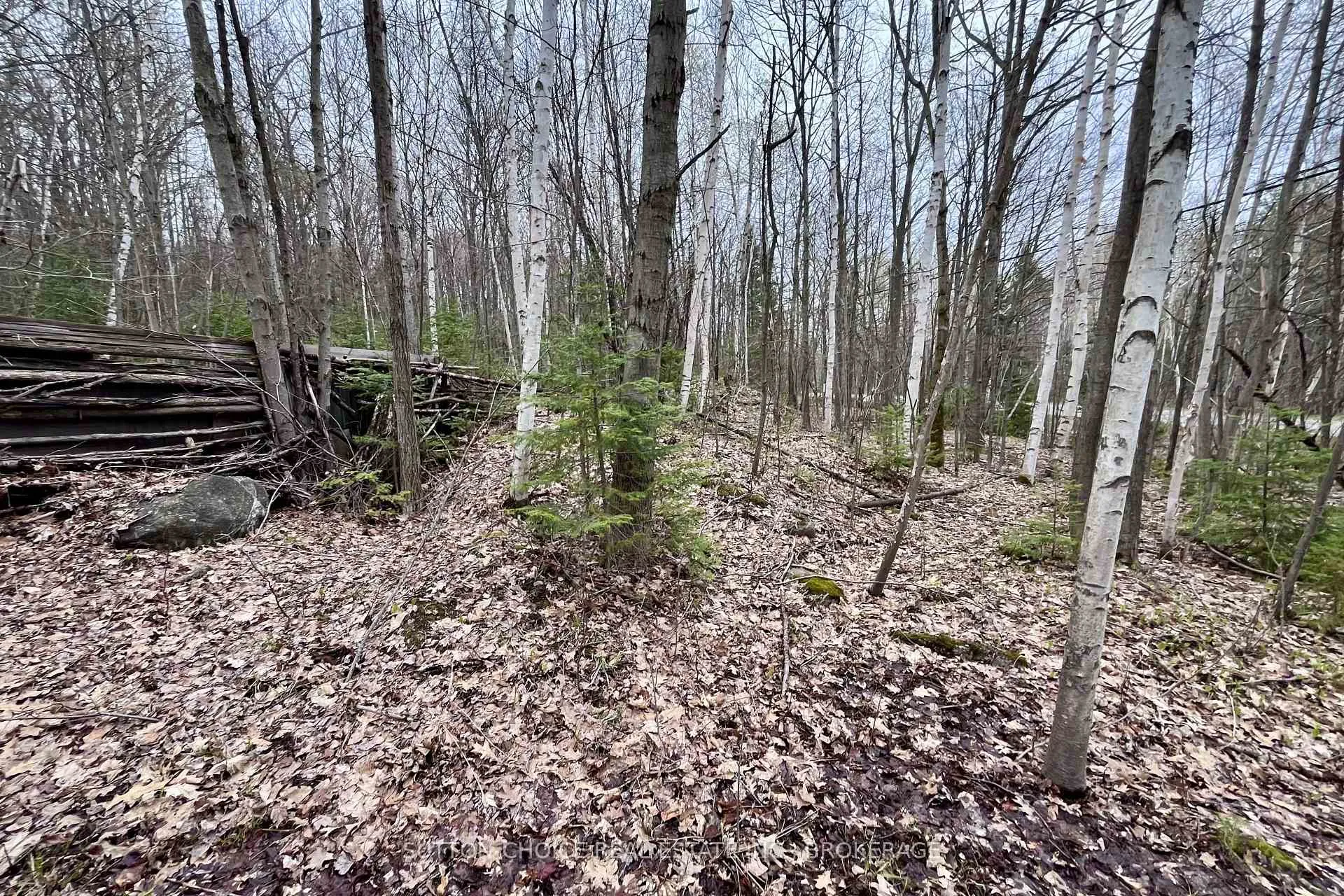 Photo 11 of 1867 Alsace Road, Nipissing — HOMEH