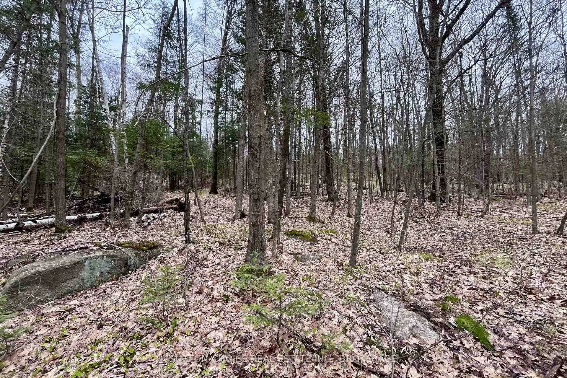 Photo 19 of 1867 Alsace Road, Nipissing — HOMEH