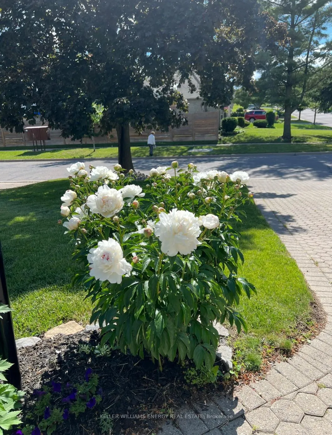 Photo 43 of 565 Prestwick Drive, Oshawa, McLaughlin — HOMEH