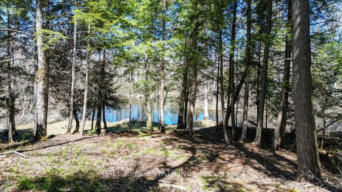 Photo 14 of 832 Lasswade Road, North Kawartha — HOMEH
