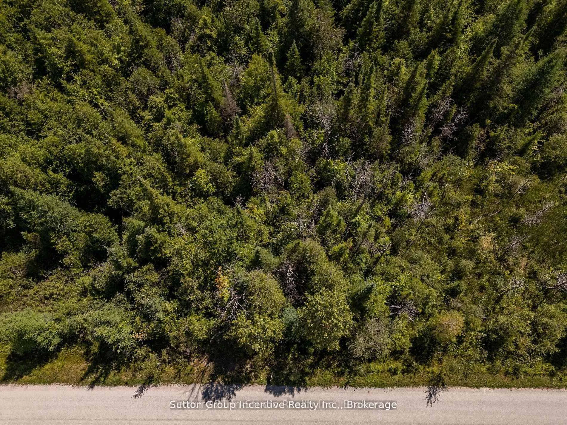 Photo 3 of 49 Lake Drive, West Grey — HOMEH