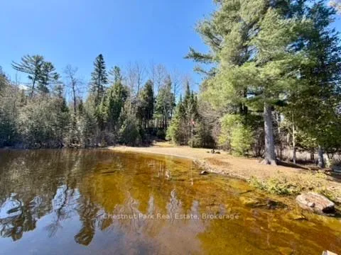 Photo 8 of 10453 County Road 503, Highlands East, Glamorgan — HOMEH