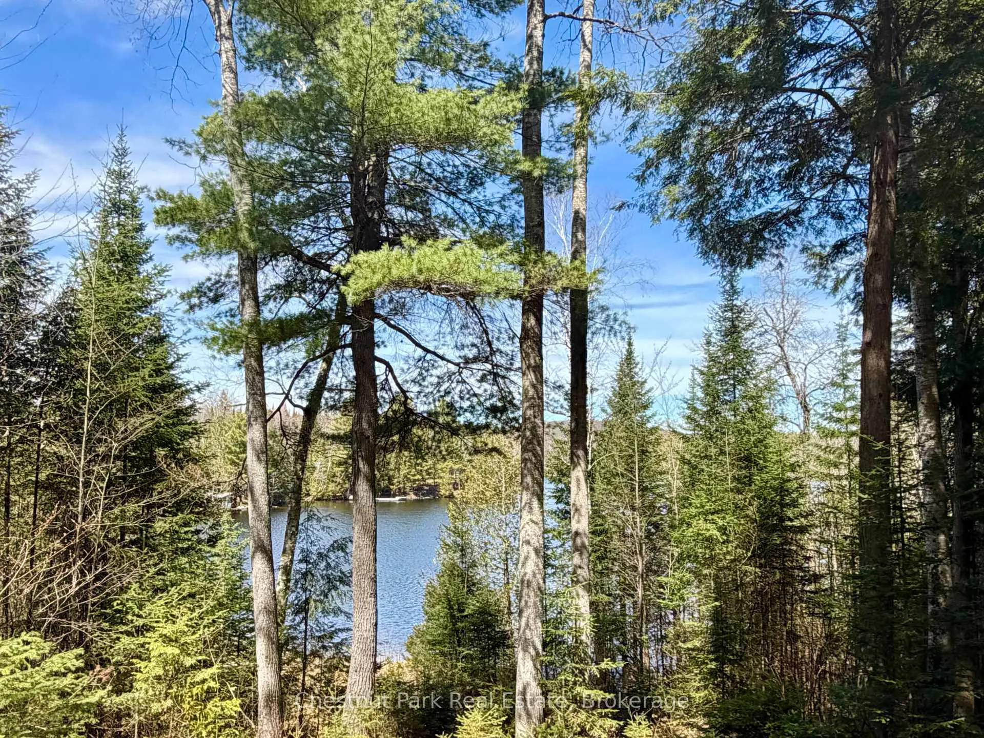 Photo 49 of 10453 County Road 503, Highlands East, Glamorgan — HOMEH