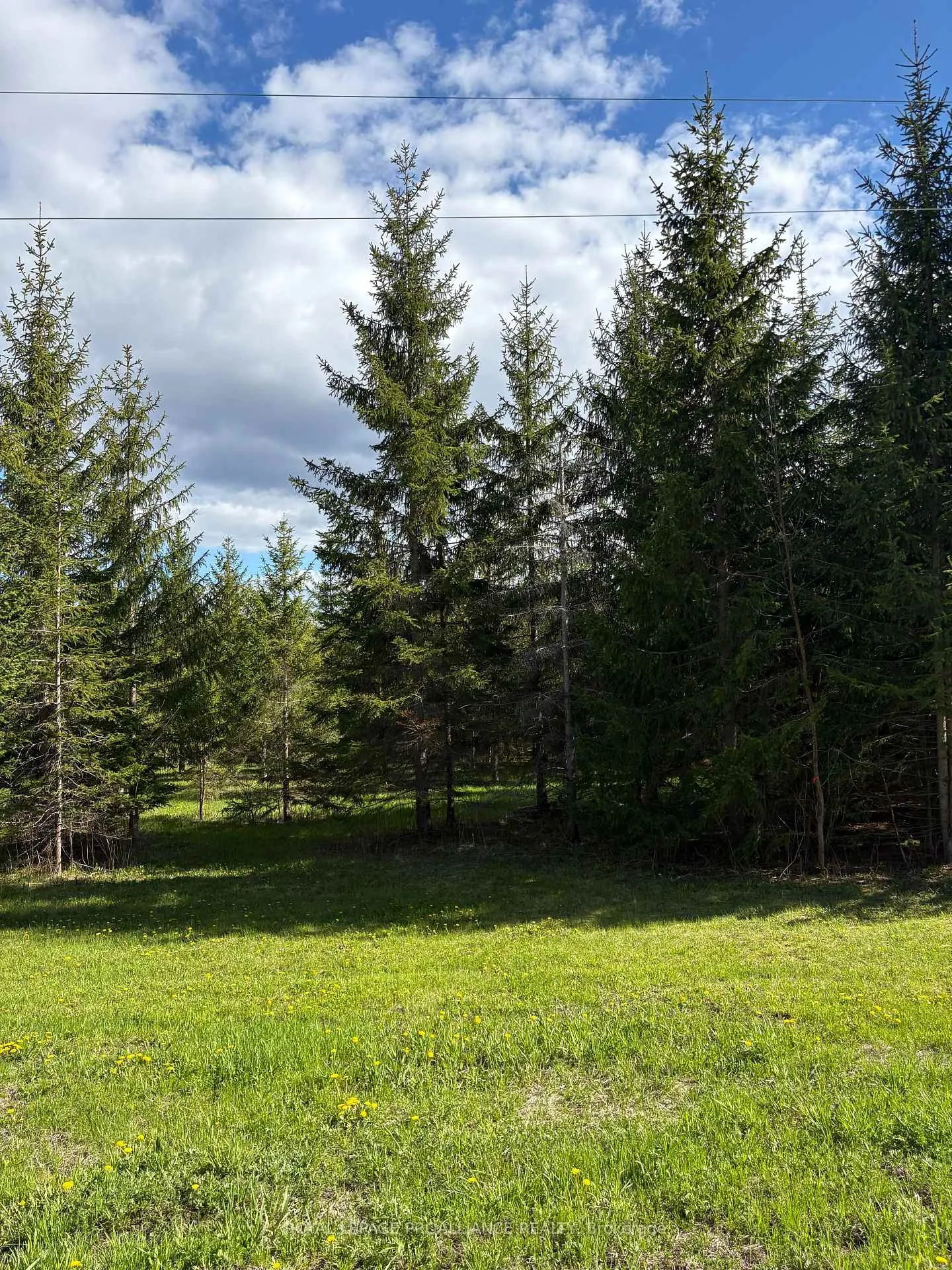 Photo 3 of Part 3 Ingham Road, Alnwick/Haldimand, Rural Alnwick/Haldimand — HOMEH