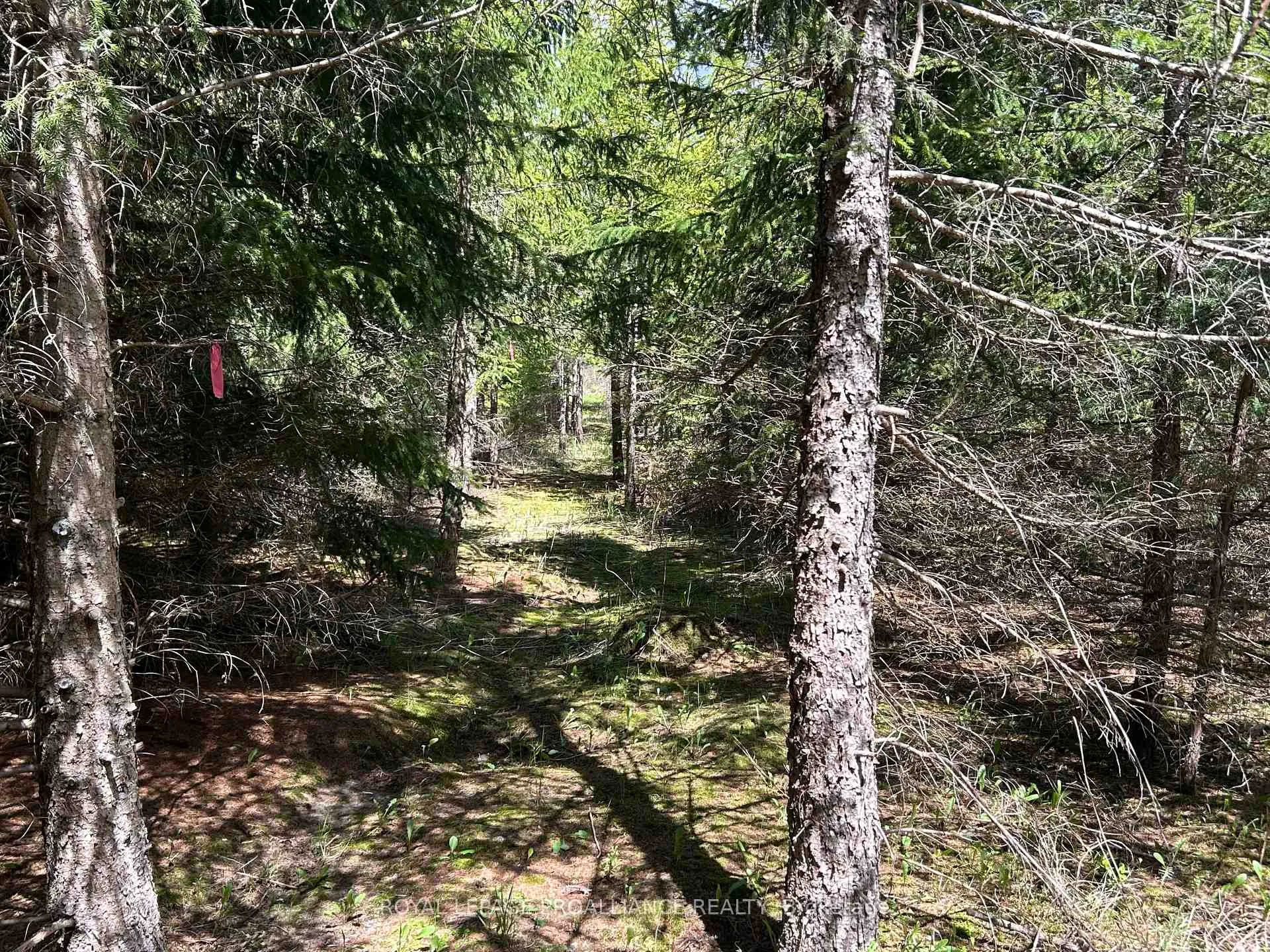 Photo 4 of Part 3 Ingham Road, Alnwick/Haldimand, Rural Alnwick/Haldimand — HOMEH