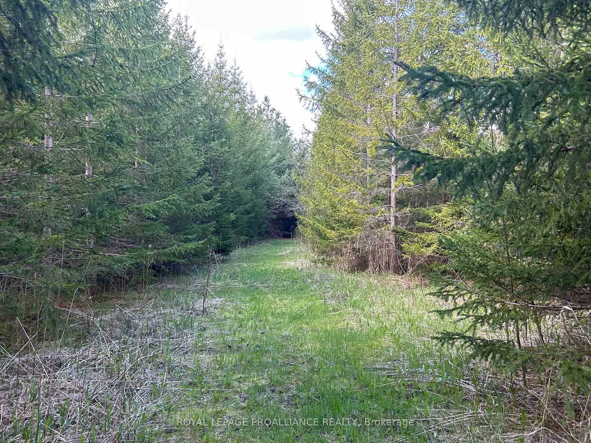 Photo 5 of Part 3 Ingham Road, Alnwick/Haldimand, Rural Alnwick/Haldimand — HOMEH