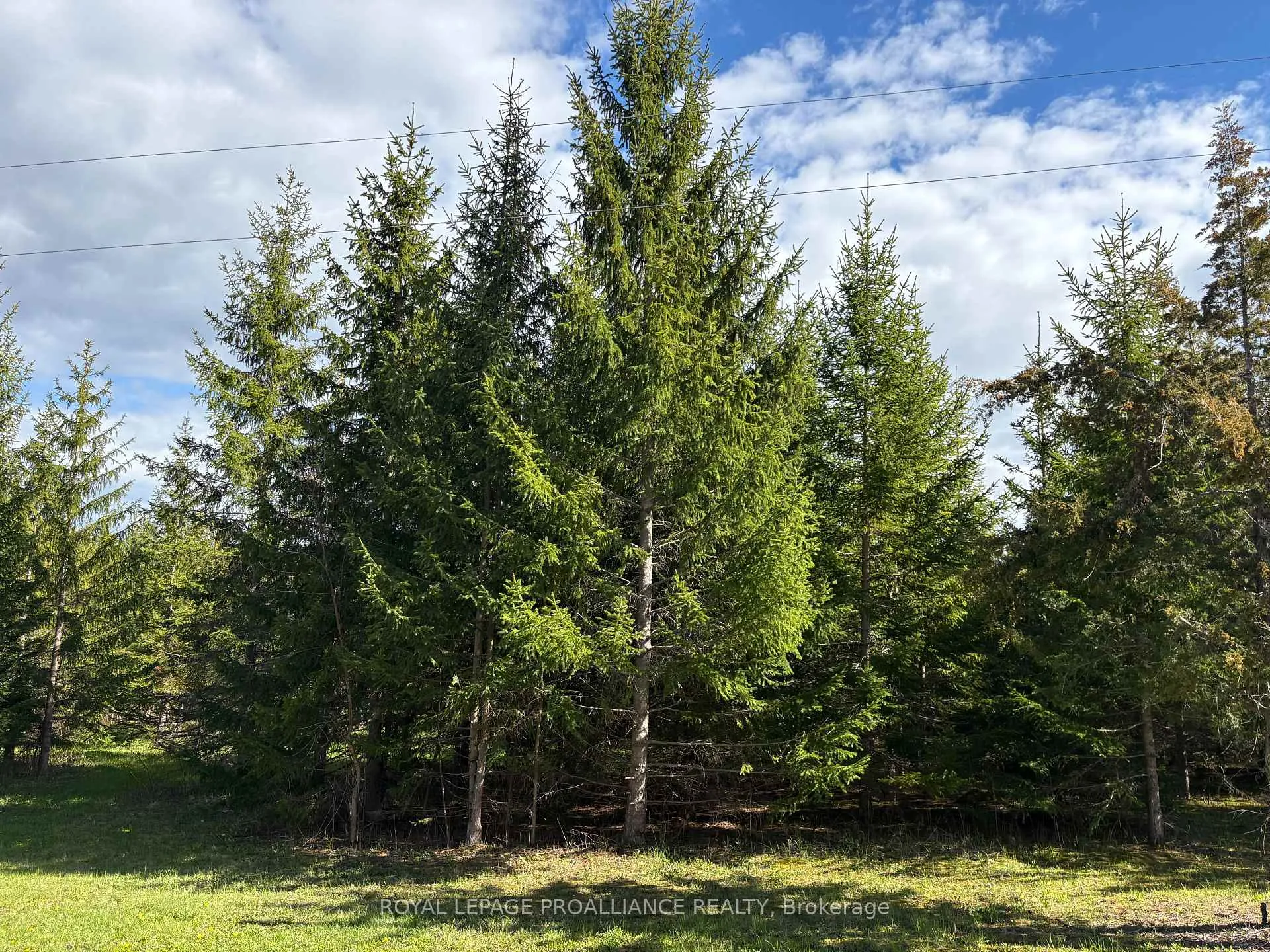 Photo 7 of Part 3 Ingham Road, Alnwick/Haldimand, Rural Alnwick/Haldimand — HOMEH