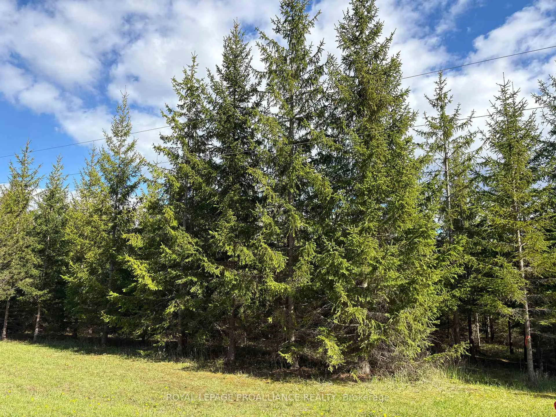 Photo 10 of Part 3 Ingham Road, Alnwick/Haldimand, Rural Alnwick/Haldimand — HOMEH