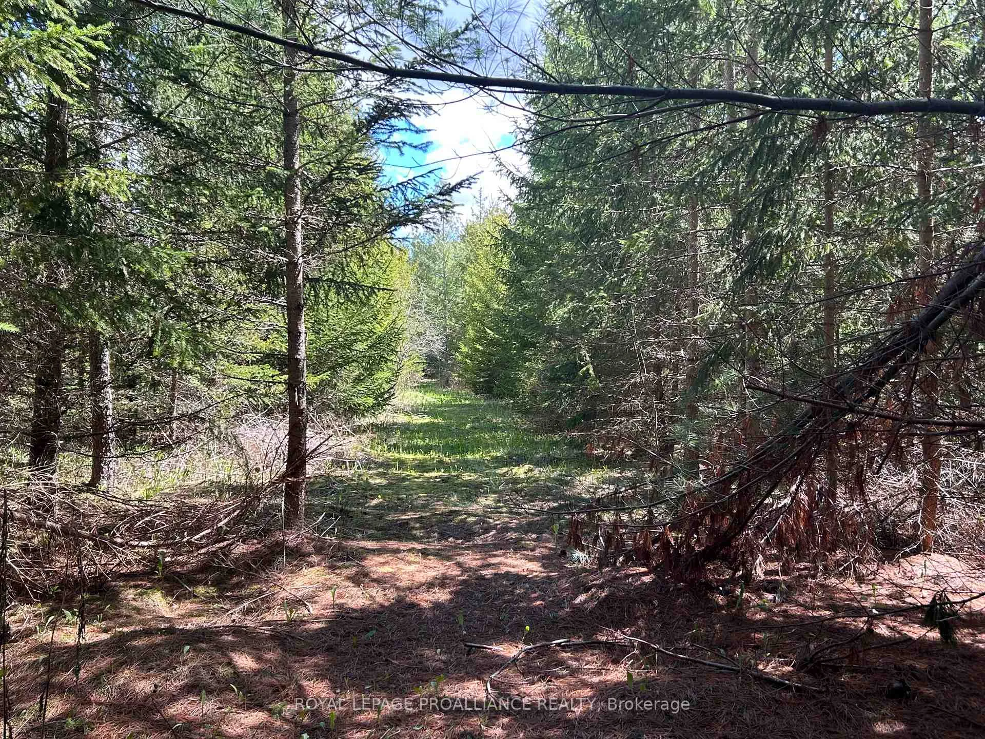Photo 11 of Part 3 Ingham Road, Alnwick/Haldimand, Rural Alnwick/Haldimand — HOMEH