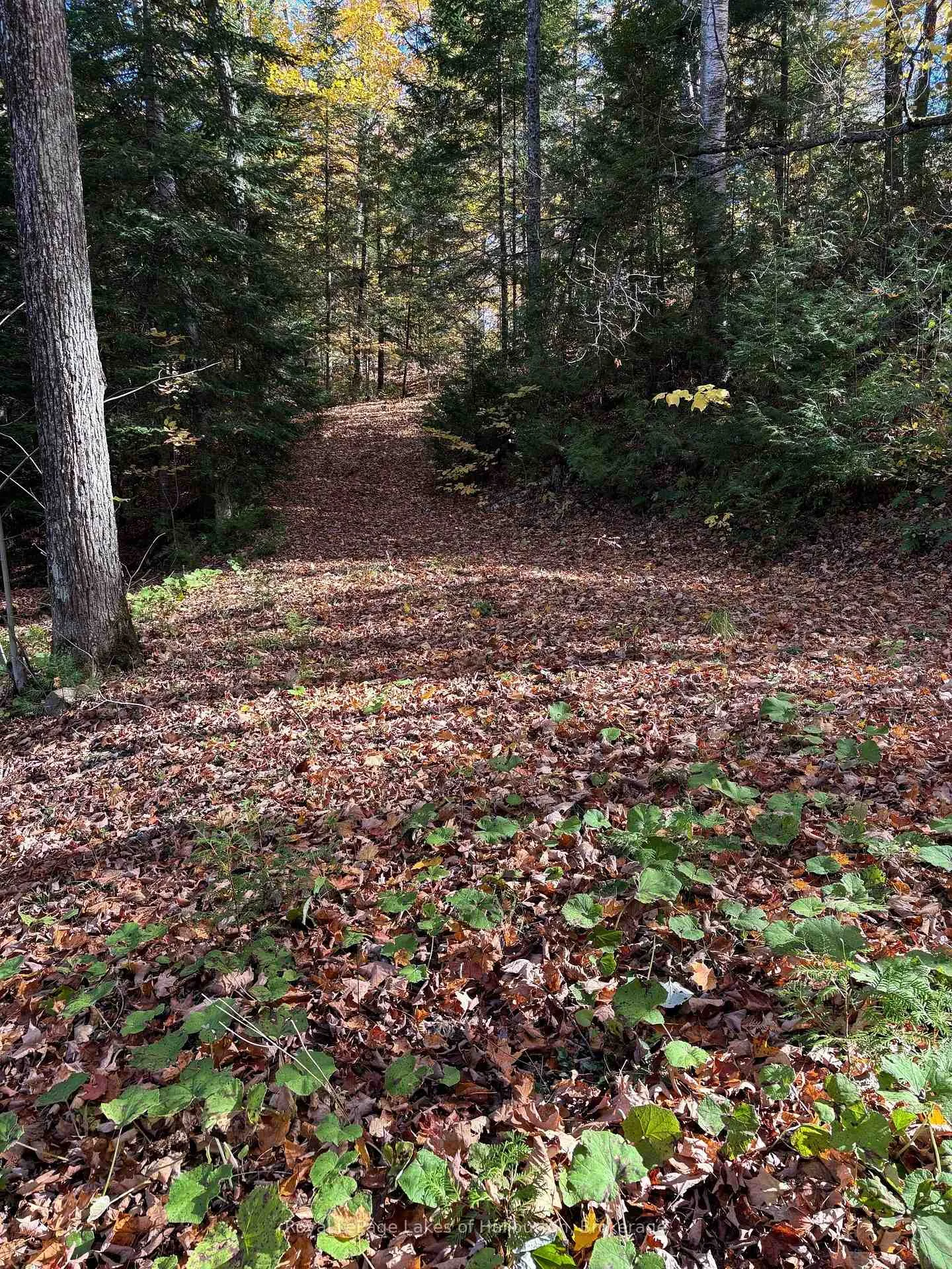 Photo 12 of 8 Cannonball Lane, Minden Hills, Snowdon — HOMEH