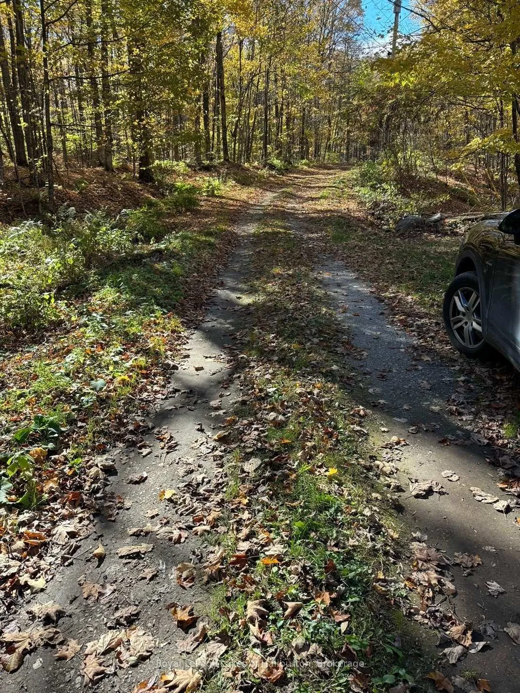 Photo 19 of 8 Cannonball Lane, Minden Hills, Snowdon — HOMEH