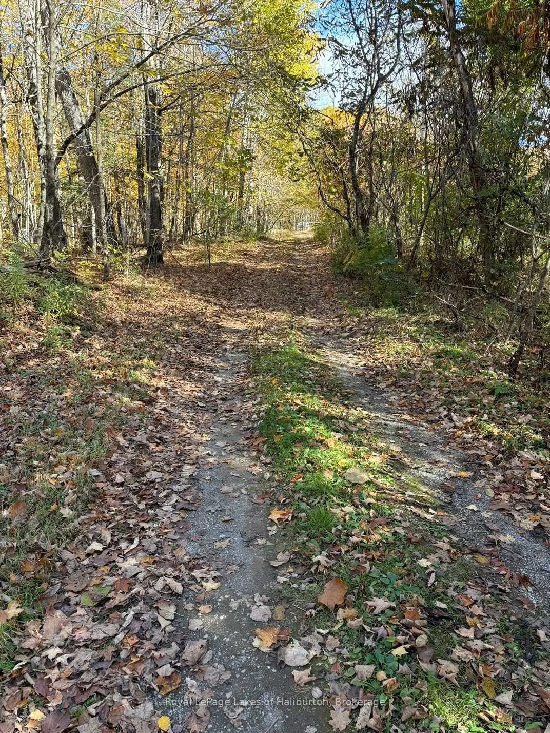 Photo 20 of 8 Cannonball Lane, Minden Hills, Snowdon — HOMEH