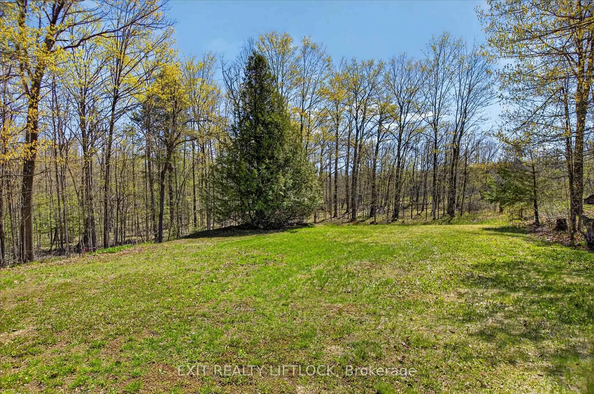 Photo 22 of 720 County Rd 507, Trent Lakes — HOMEH