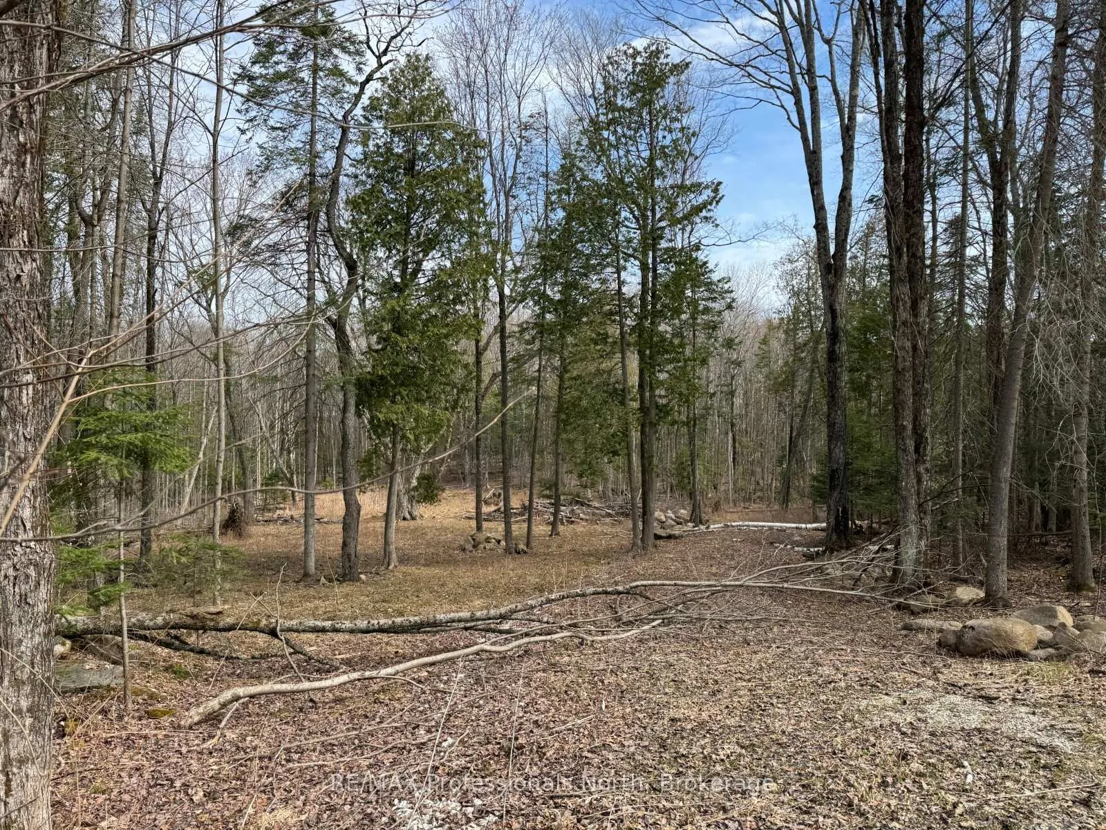 Photo of TBD North Drive