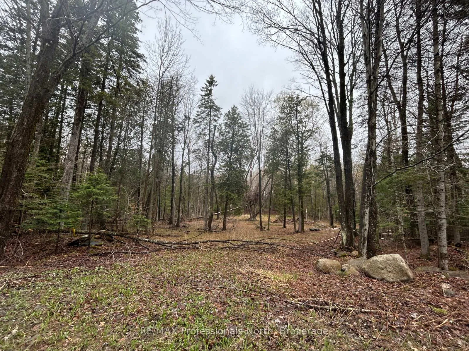 Photo 5 of North Drive, Dysart et al, Guilford — HOMEH