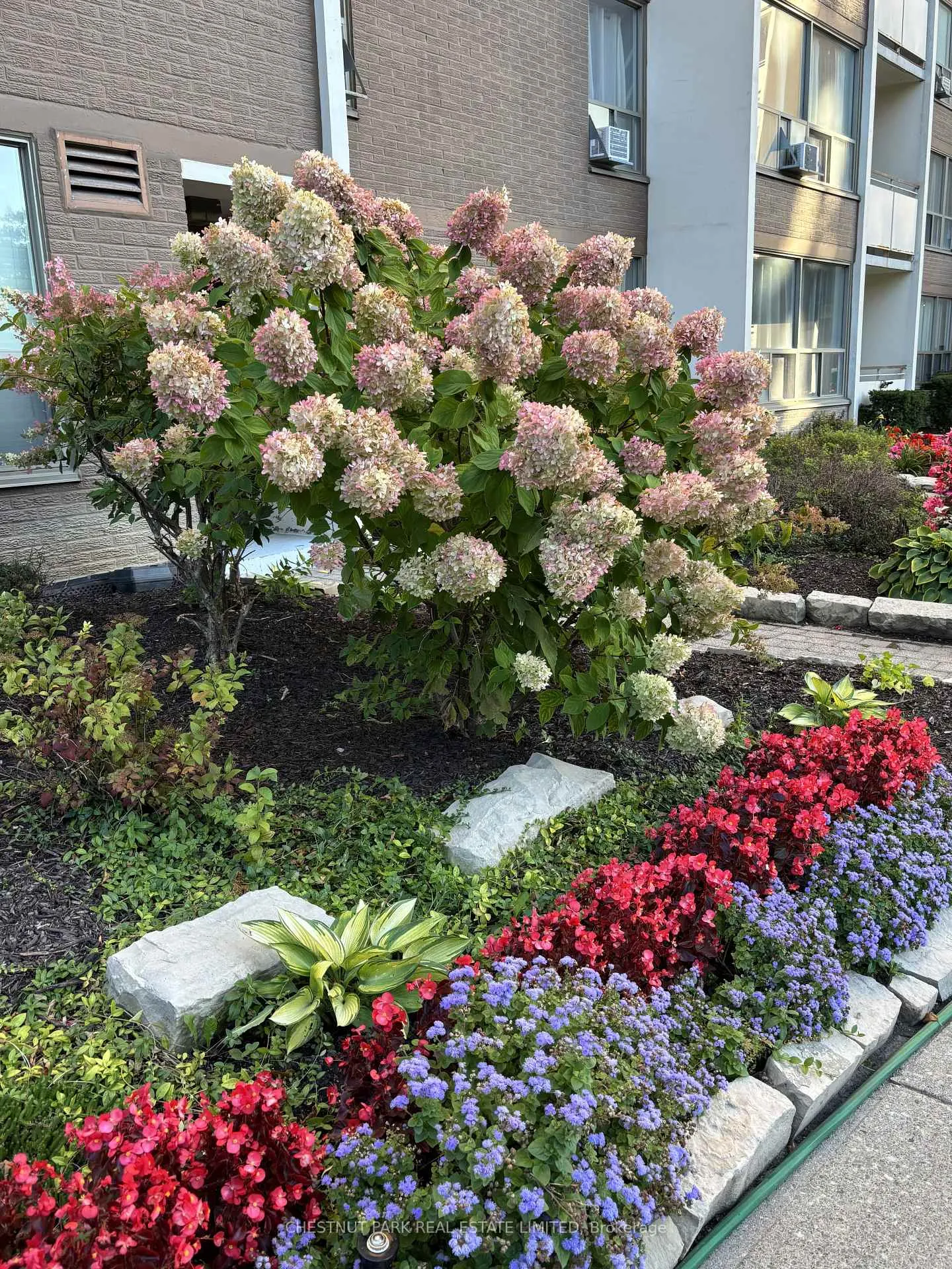 Photo 40 of Unit 206, 60 Pavane Linkway, Toronto, Flemingdon Park — HOMEH