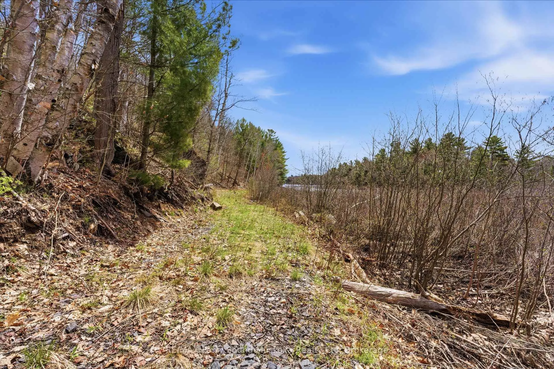 Photo 11 of 25 Lake Ridge Road, McDougall — HOMEH