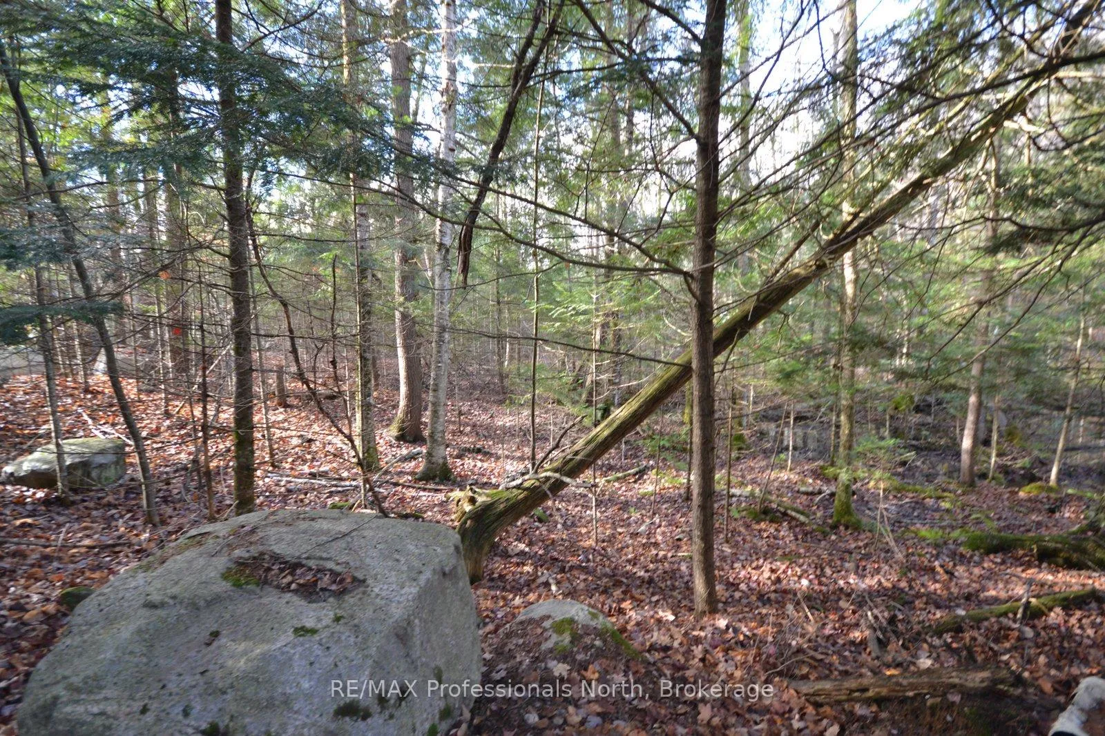 Photo 24 of Clive Trail, Dysart et al, Dysart — HOMEH