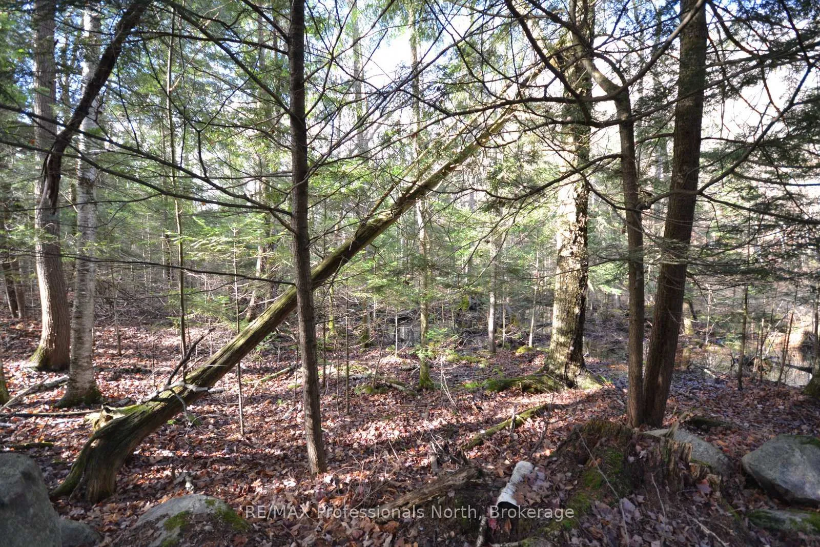 Photo 25 of Clive Trail, Dysart et al, Dysart — HOMEH