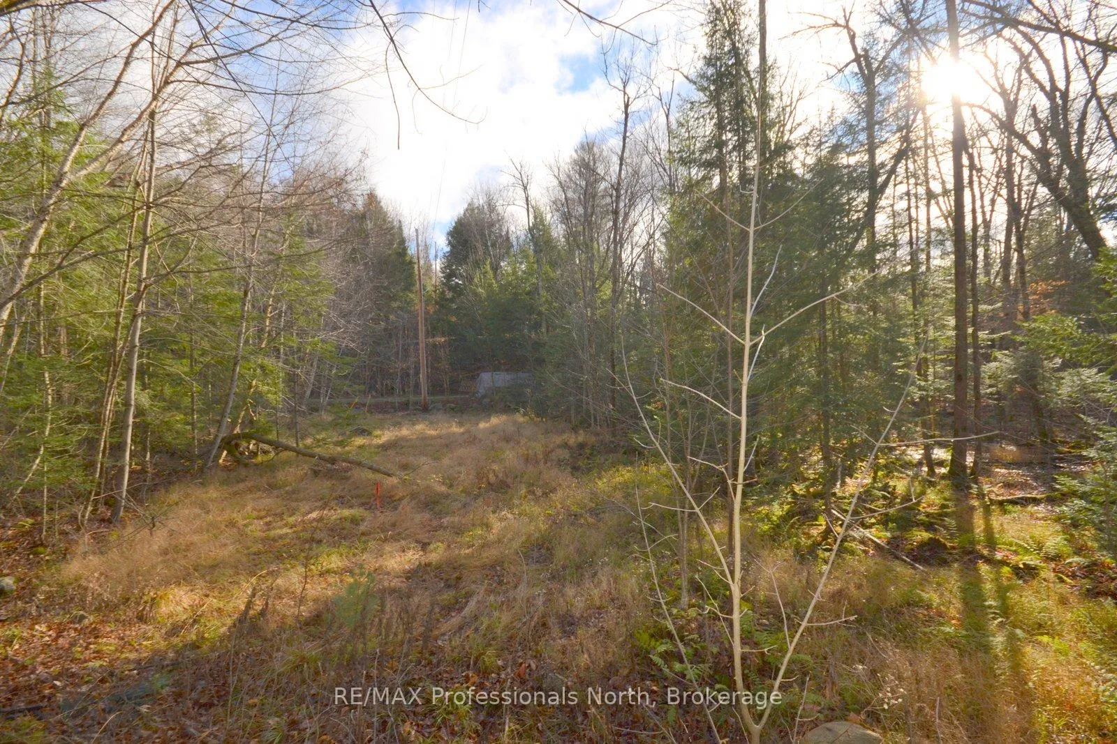 Photo 26 of Clive Trail, Dysart et al, Dysart — HOMEH
