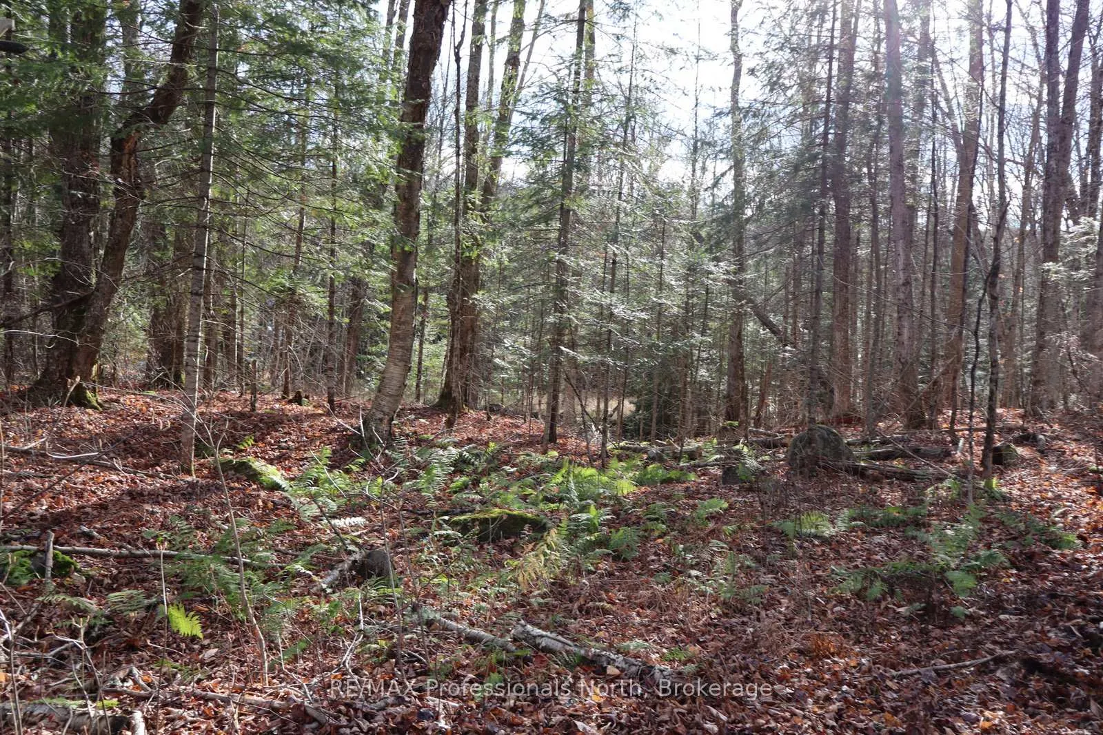 Photo 28 of Clive Trail, Dysart et al, Dysart — HOMEH