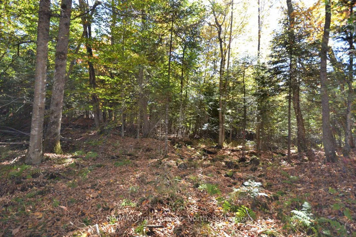 Photo 38 of Clive Trail, Dysart et al, Dysart — HOMEH