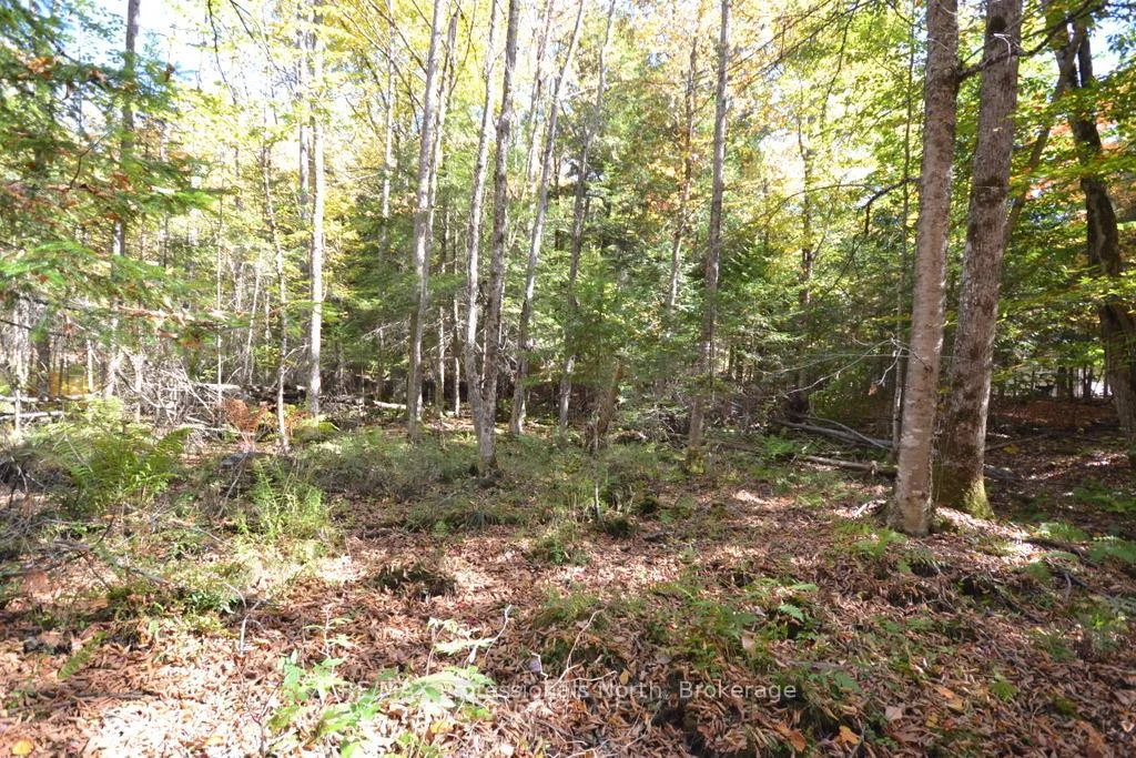 Photo 11 of Clive Trail, Dysart et al, Dysart — HOMEH