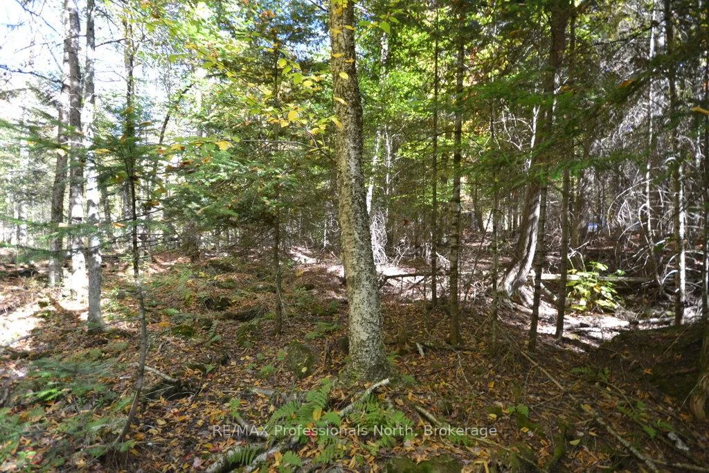 Photo 12 of Clive Trail, Dysart et al, Dysart — HOMEH
