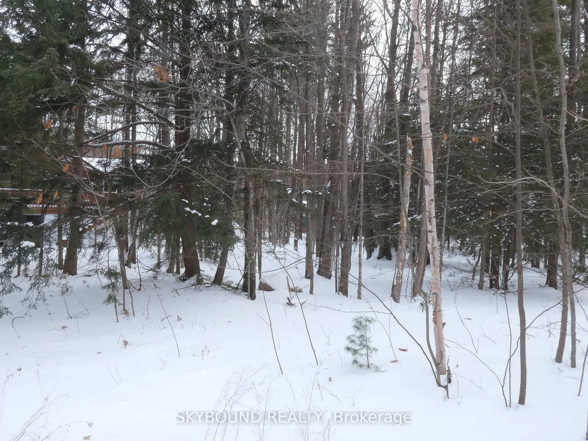 Photo 2 of LOT 577 Forest Circle, Tiny, Rural Tiny — HOMEH