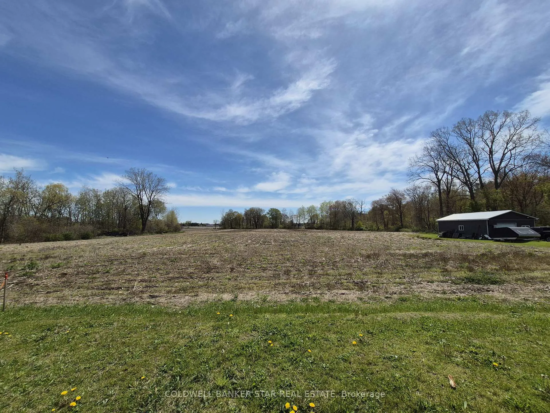 Photo of 4844 Imperial Road