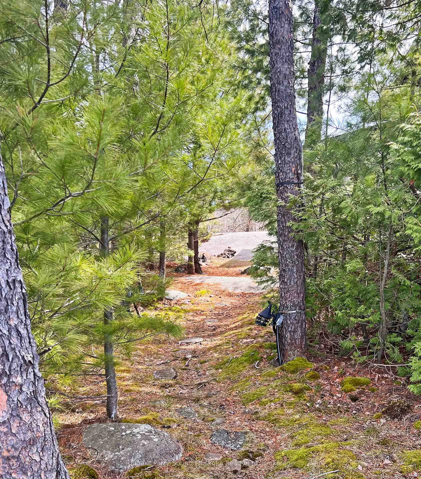 Photo 38 of 2333 Key River, Parry Sound Remote Area, Henvey — HOMEH