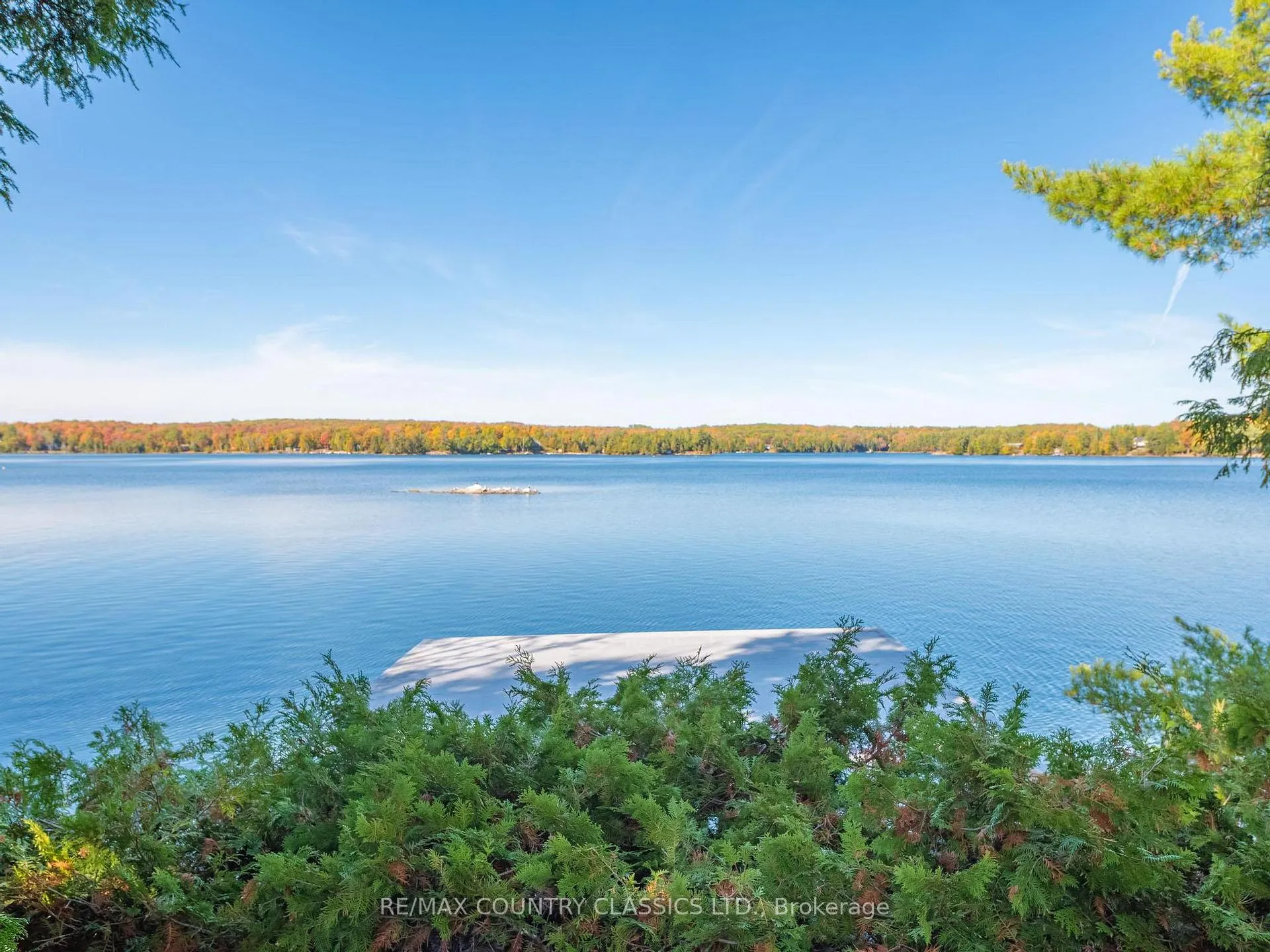 Photo 8 of 27 Martin Lane, North Kawartha — HOMEH