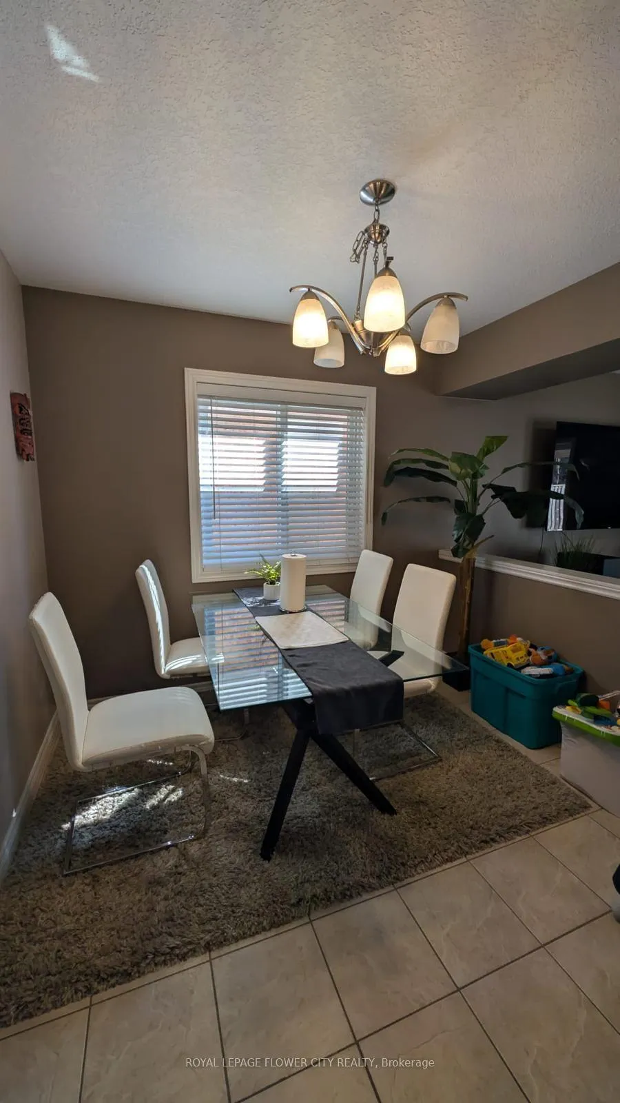 Photo 6 of 165 Cranbrook Street, Kitchener — HOMEH