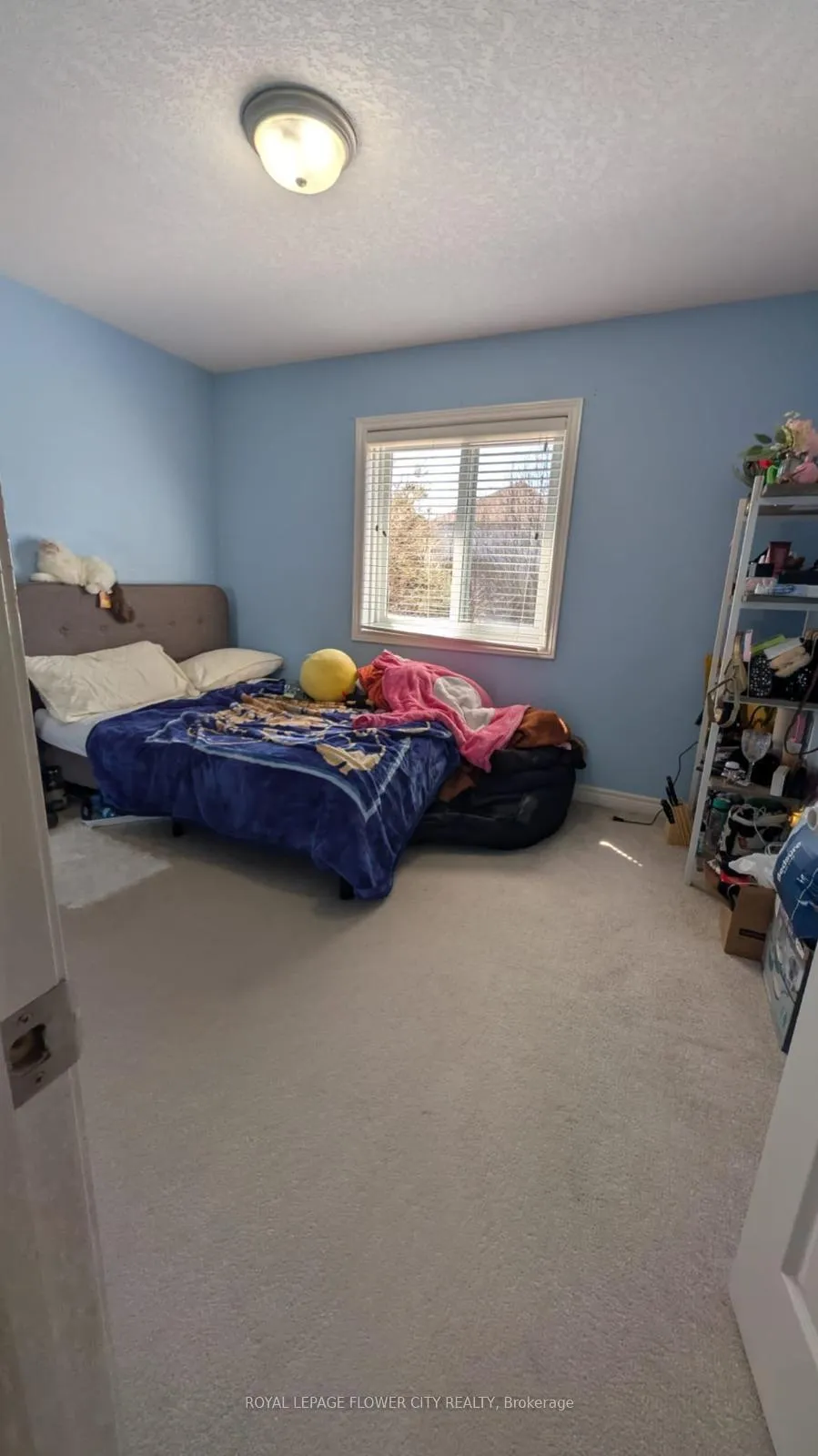 Photo 13 of 165 Cranbrook Street, Kitchener — HOMEH