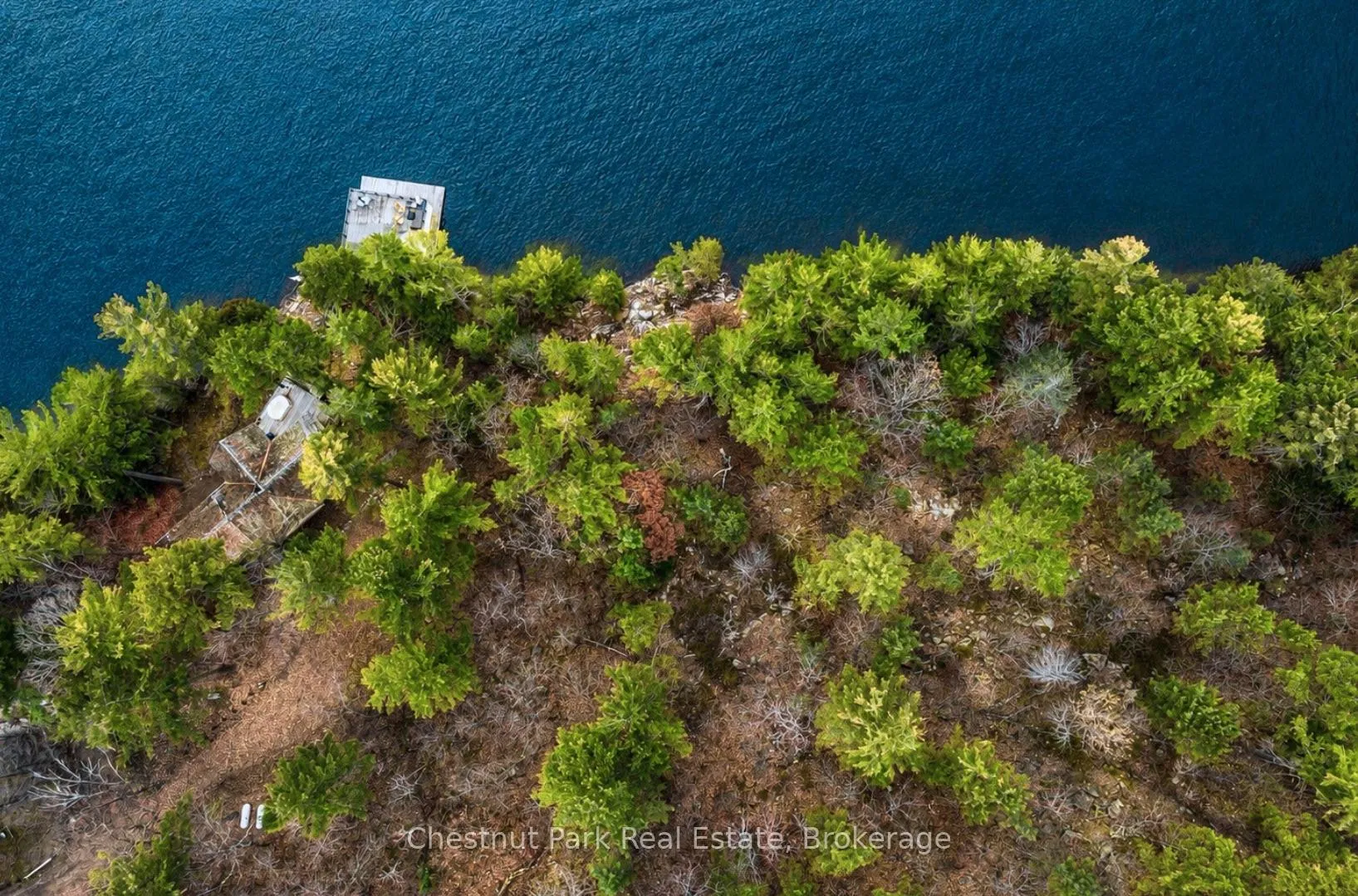 Photo 4 of Little Morgan Bay Road, Seguin — HOMEH