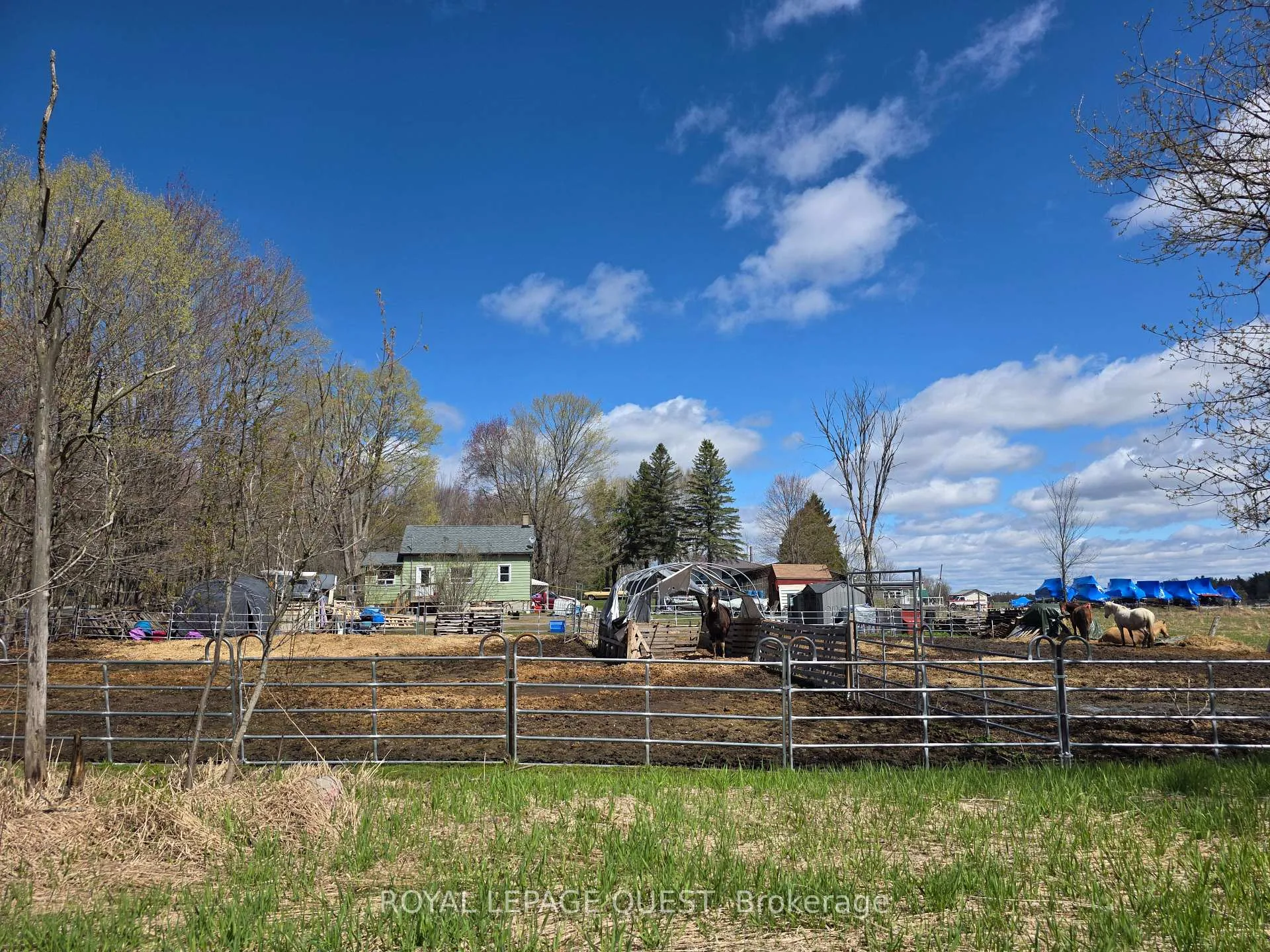 Photo 5 of 1180 Canning Road, Gravenhurst, Morrison — HOMEH
