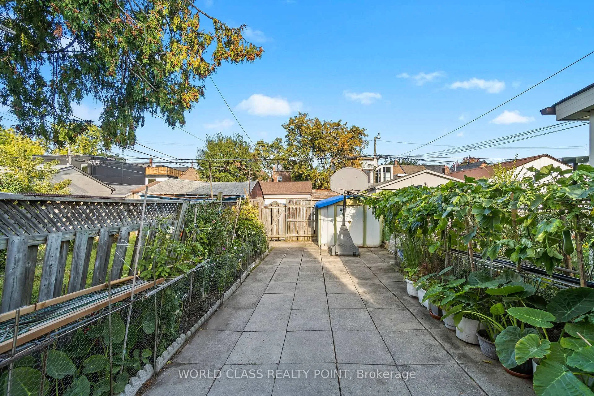 Photo 9 of 623 Ossington Avenue, Toronto, Palmerston-Little Italy — HOMEH