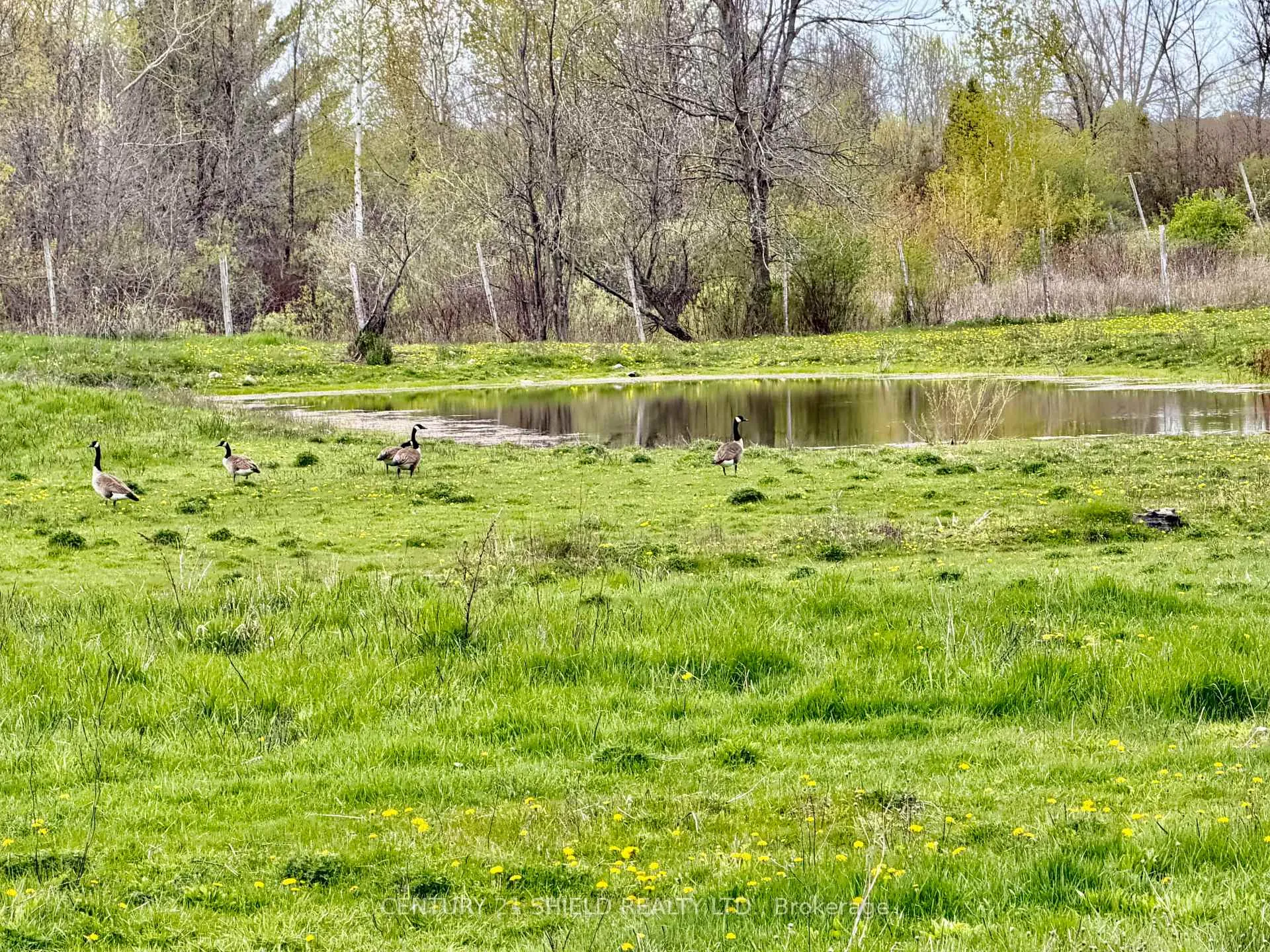 Photo 8 of 17637 Island Rd E, South Stormont, South Stormont (Cornwall) Twp — HOMEH