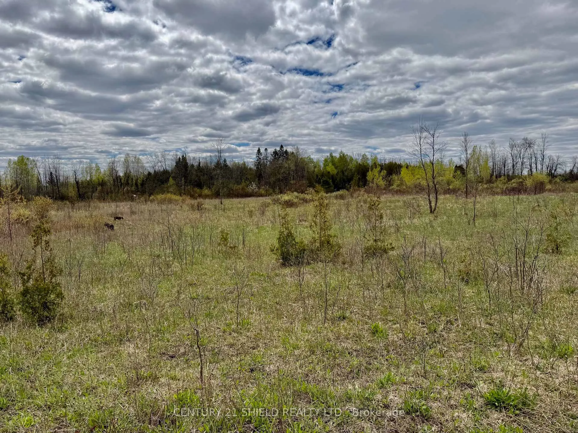 Photo 45 of 17637 Island Rd E, South Stormont, South Stormont (Cornwall) Twp — HOMEH