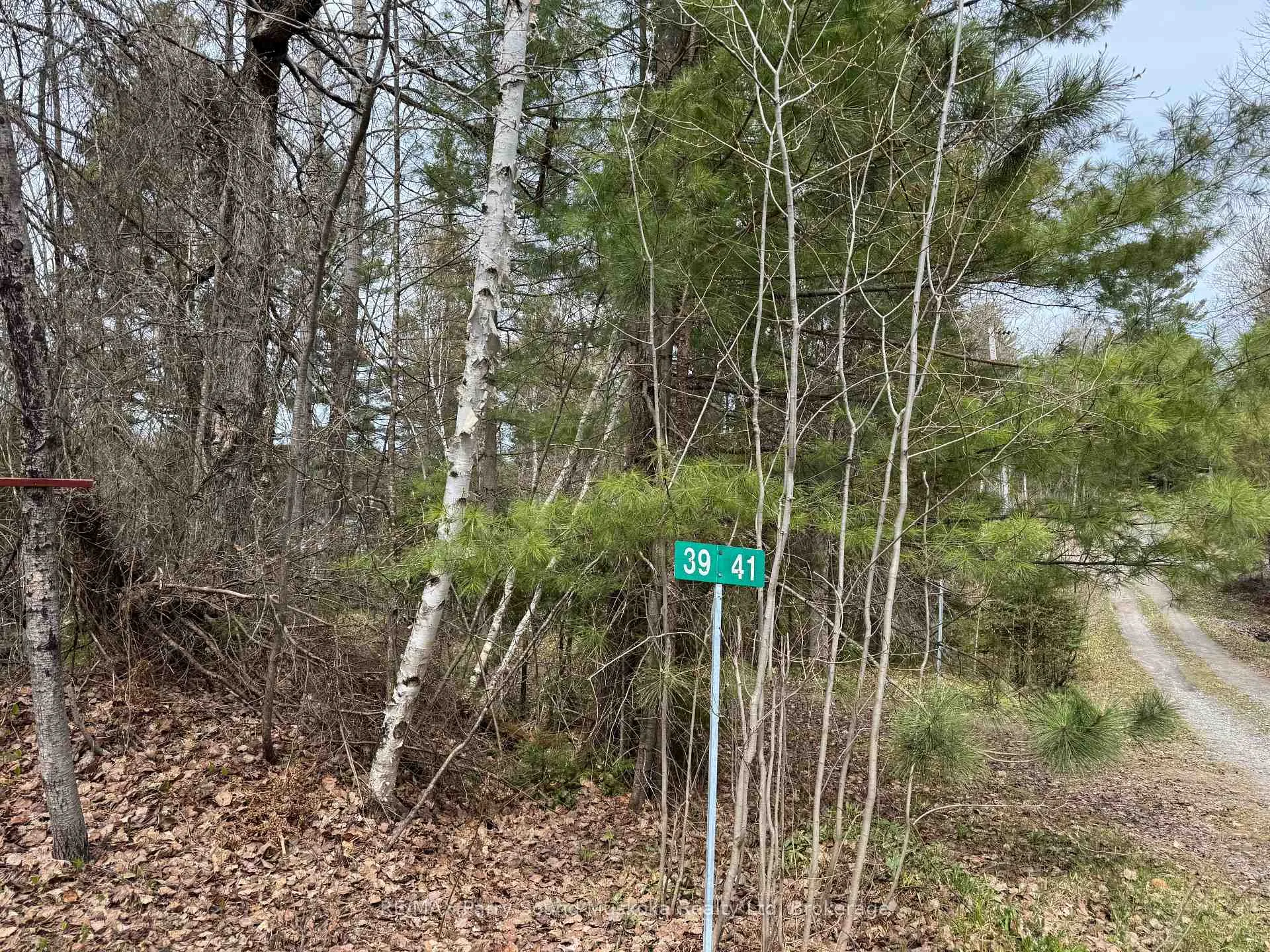 Photo 5 of 41-35 Weber Road, Parry Sound Remote Area, Hardy — HOMEH