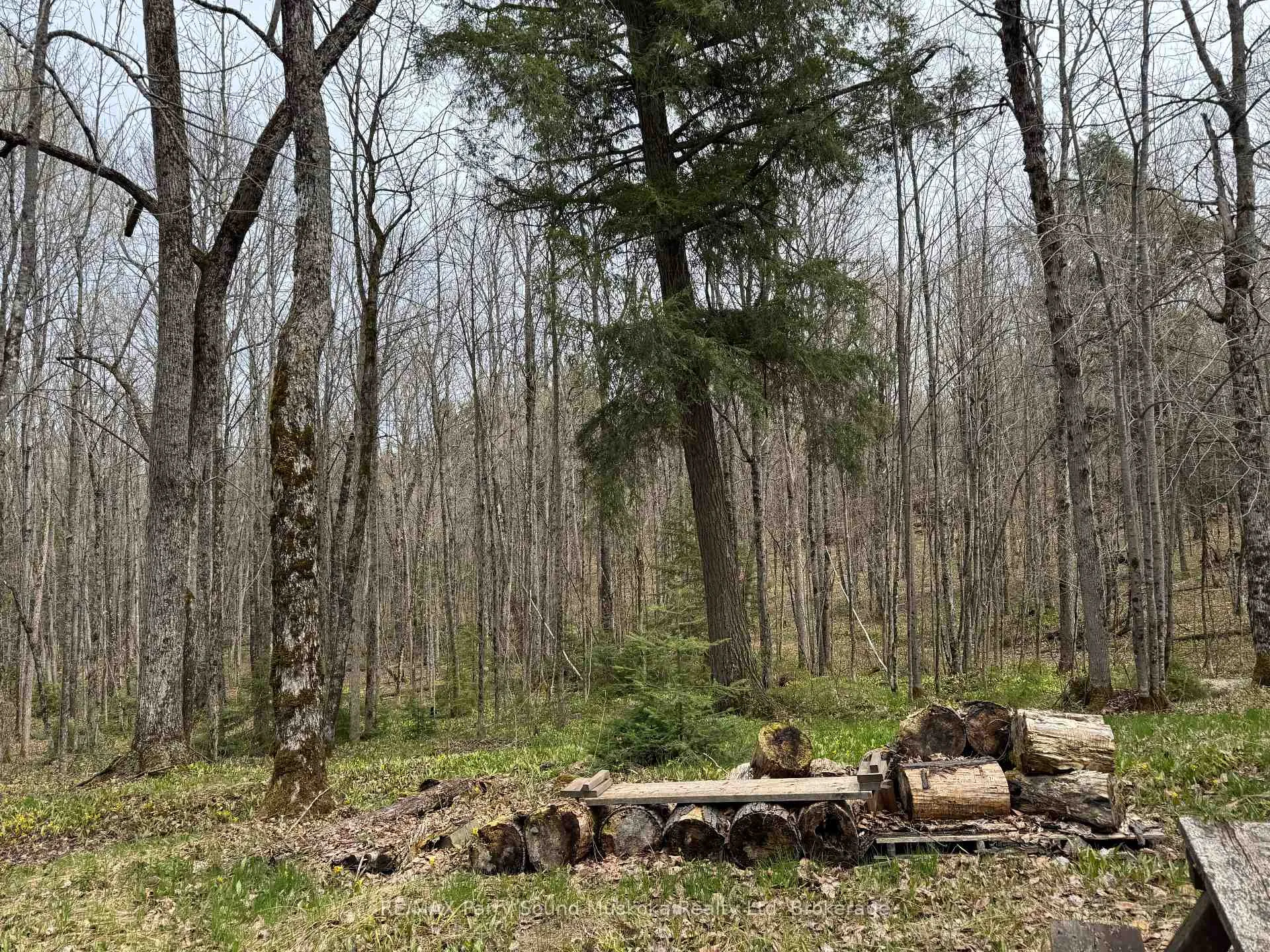 Photo 2 of 34 Weber Road, Parry Sound Remote Area, McConkey — HOMEH