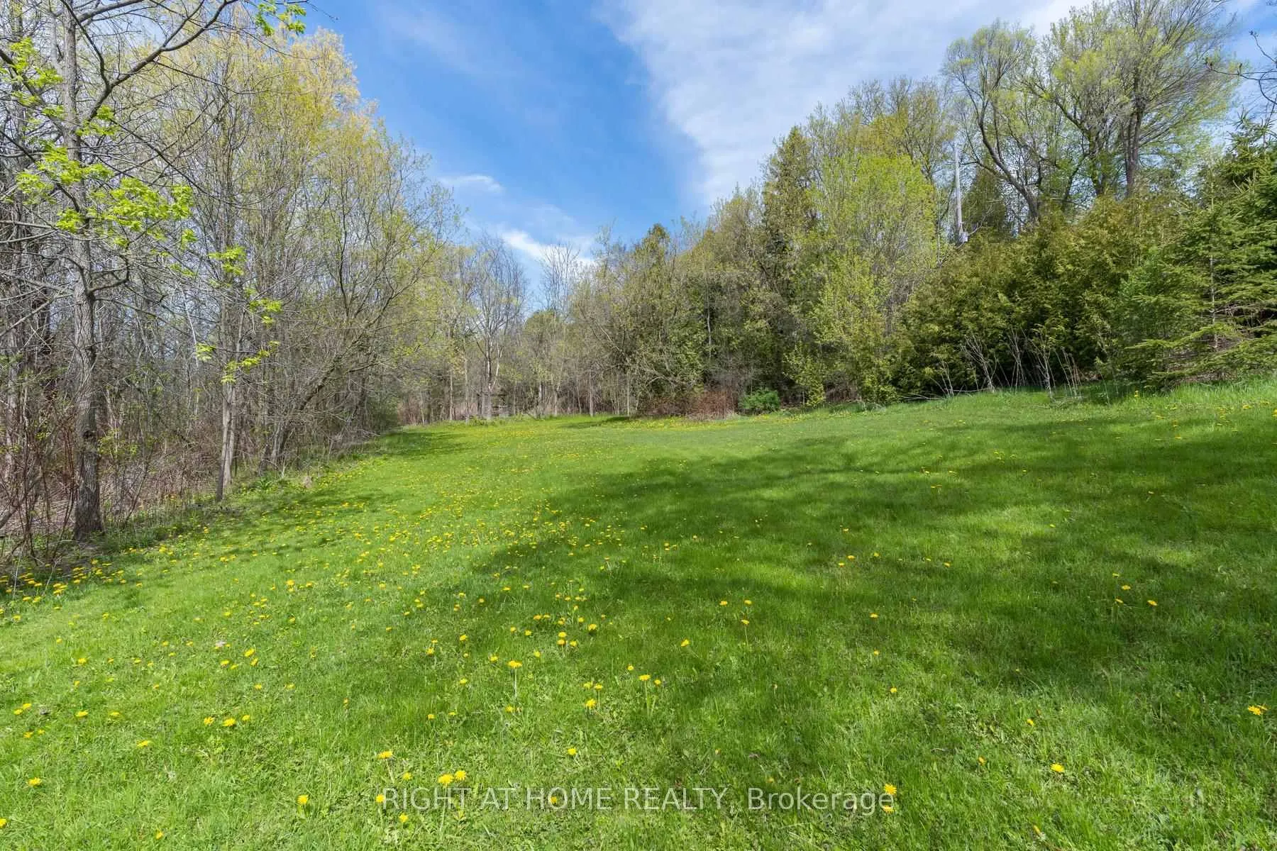 Photo 43 of 68 Ewing Street, Halton Hills, Georgetown — HOMEH