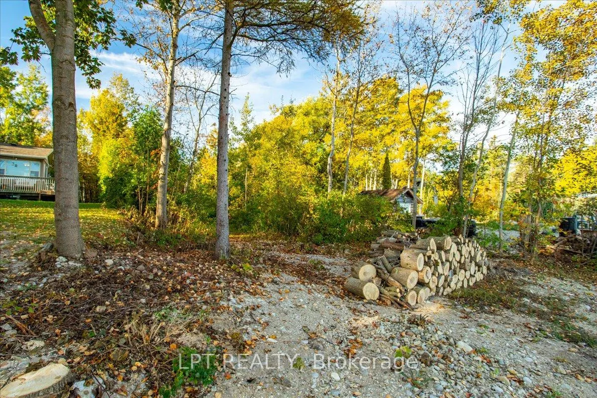 Photo 18 of 41 Glen Road, Collingwood — HOMEH