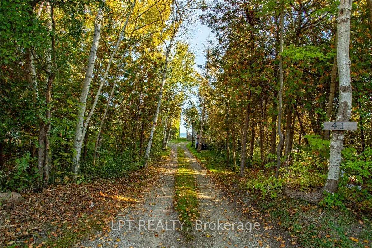 Photo 22 of 41 Glen Road, Collingwood — HOMEH
