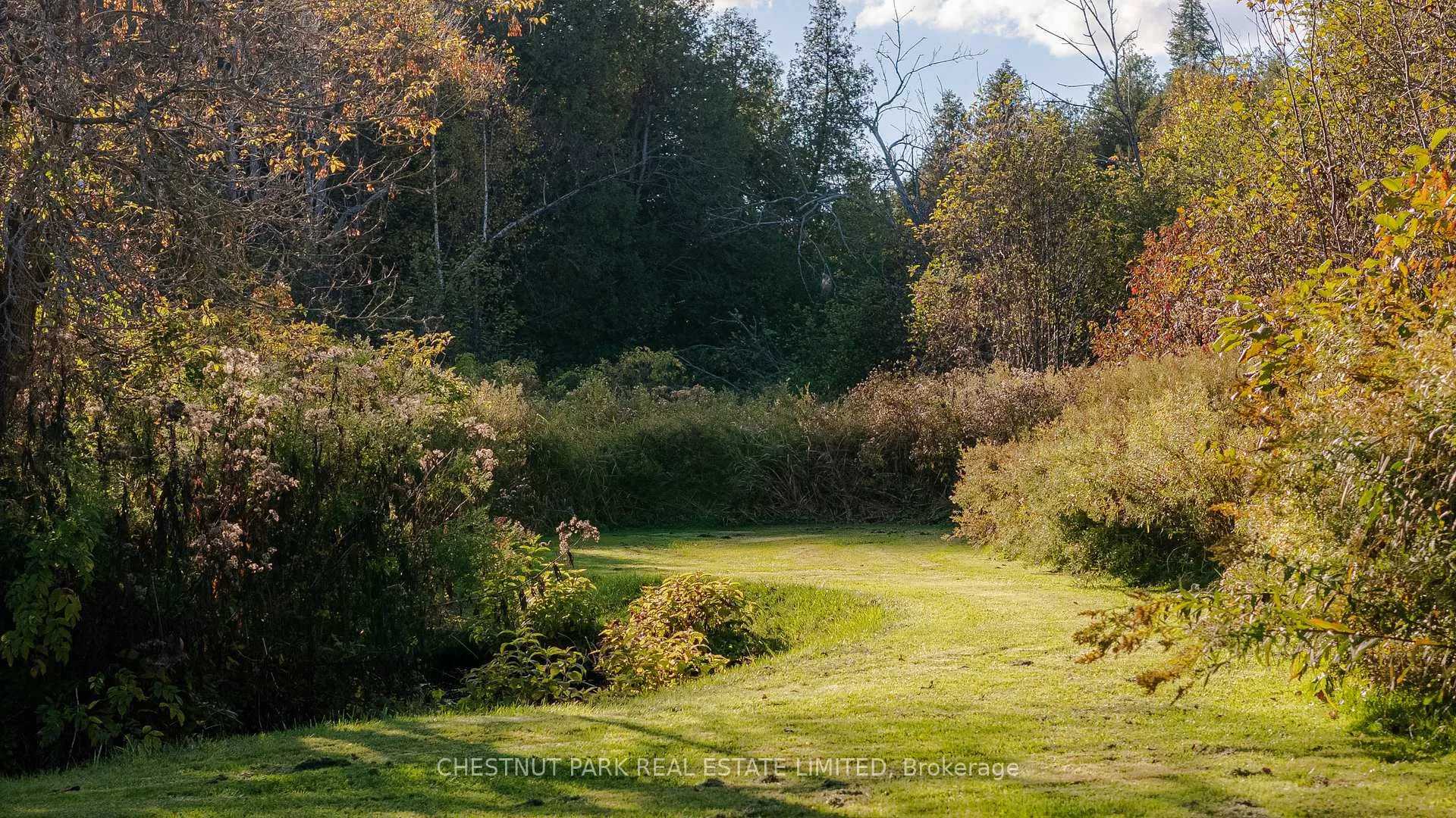 Photo 37 of 5228 First Line, Erin, Rural Erin — HOMEH