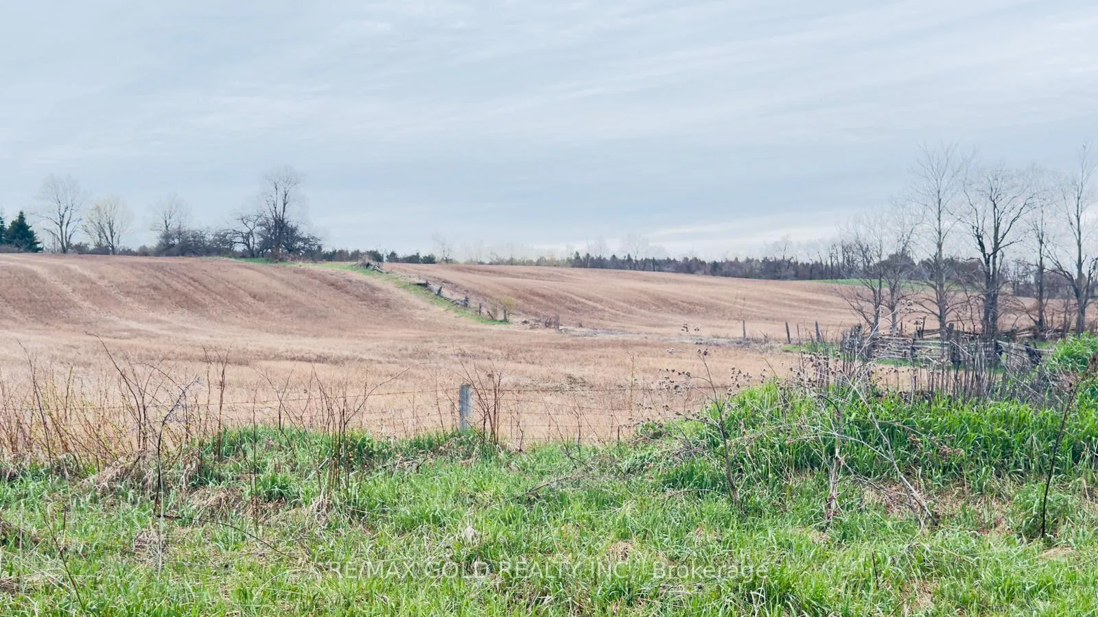 Photo 6 of 4476 Beech Grove Side Road, Caledon, Rural Caledon — HOMEH