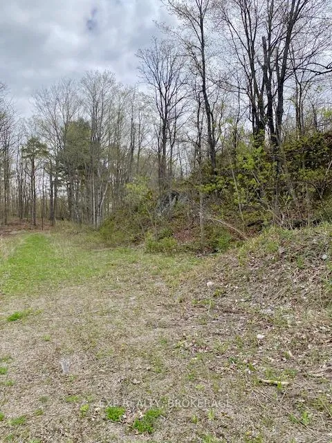 Photo 5 of 10914 County Road 38, Central Frontenac, Frontenac Centre — HOMEH