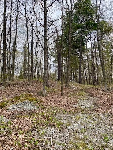 Photo 6 of 10914 County Road 38, Central Frontenac, Frontenac Centre — HOMEH