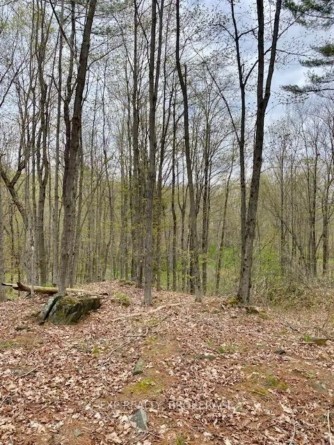 Photo 7 of 10914 County Road 38, Central Frontenac, Frontenac Centre — HOMEH
