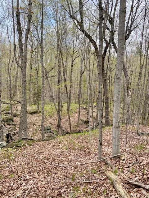 Photo 8 of 10914 County Road 38, Central Frontenac, Frontenac Centre — HOMEH